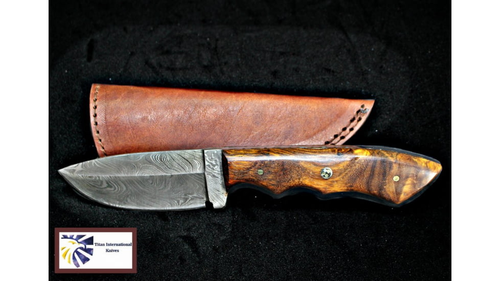 Titan Hand Forged Knife, Damascus Knife, Drop-Style Blade, Black Walnut Scales Hunting Knife by Titan TD-181, 4.3in, TDK-181