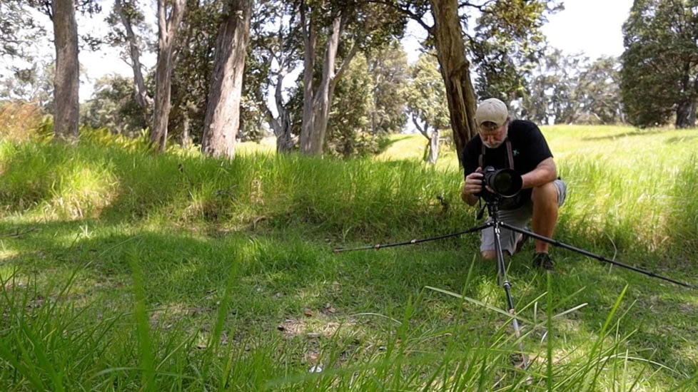 Tricer GTP-1 Tripod, Black, GTPI-Tri-1