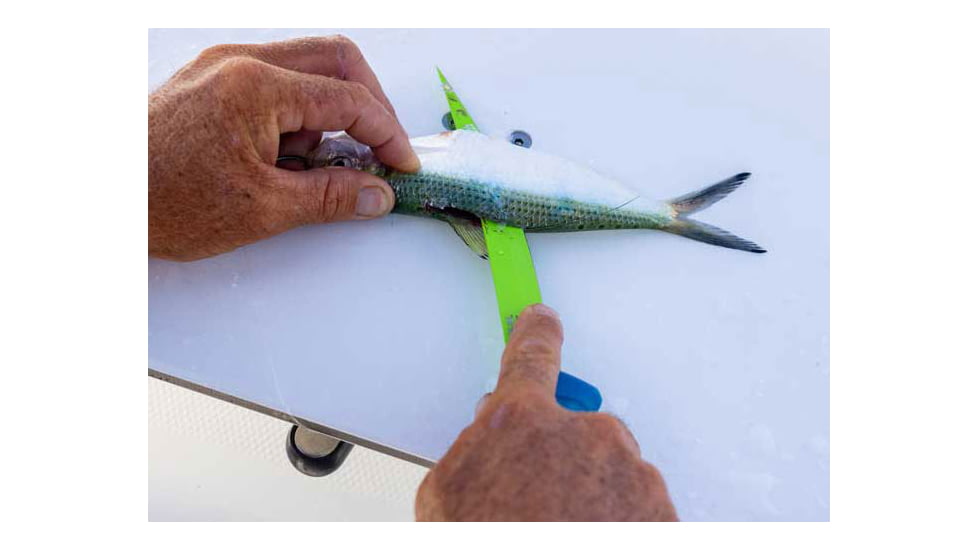 TRUE Syk 4in Trout Fillet Knife