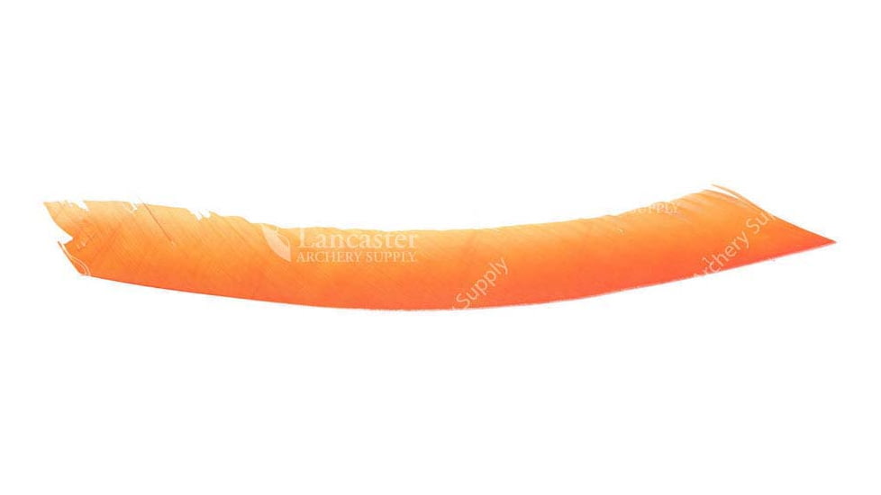Trueflight Trueflight Spiral Wrap Flu-Flu Feathers, Orange Rw 100 Pack