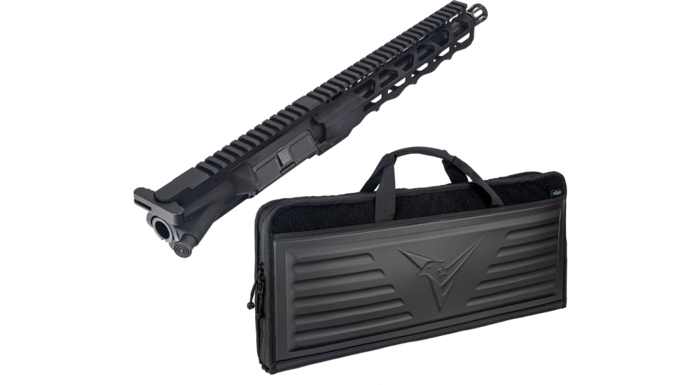 TRYBE Defense AR-15 Pistol 10.5 in Complete Upper Receiver, 5.56 and TRYBE Tactical 28in SBR Case