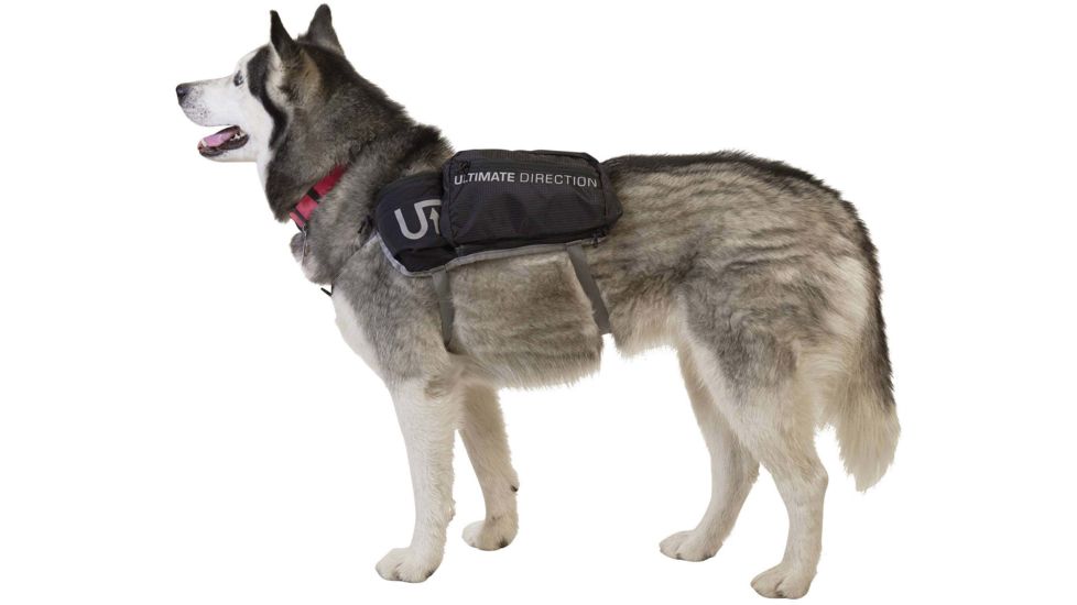 Ultimate Direction Dog Vest - Mens, Black, Small, 80469820BK-SM