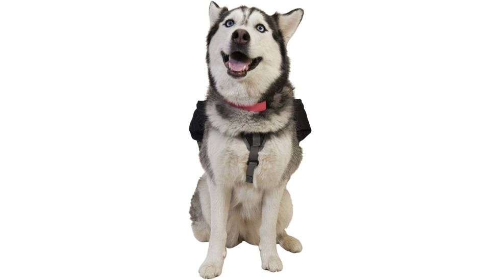 Ultimate Direction Dog Vest - Mens, Black, Small, 80469820BK-SM