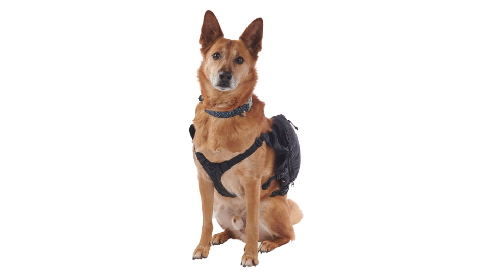 Ultimate Direction Dog Vests - Unisex, Black, Large, 80479723ONX-LG
