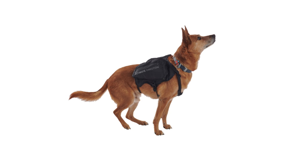 Ultimate Direction Dog Vests - Unisex, Black, Large, 80479723ONX-LG