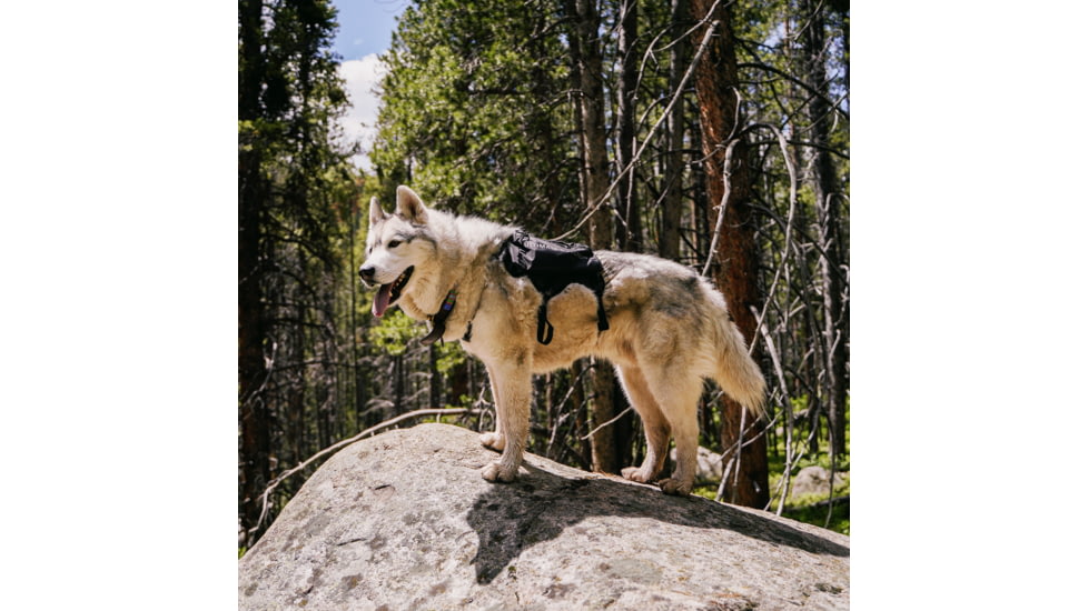 Ultimate Direction Dog Vests - Unisex, Black, Large, 80479723ONX-LG