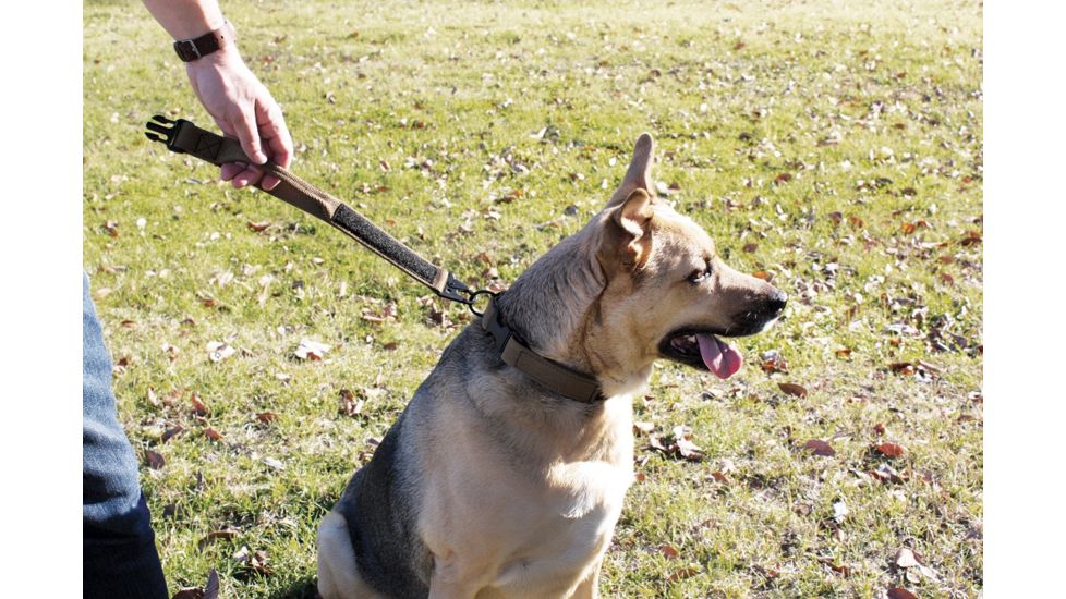 United States Tactical Dog Collar w/ Quick-Release Buckle, Coyote, Medium UST-K9C00102QM