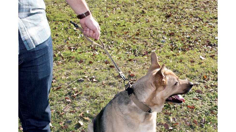 United States Tactical Dog Collar w/ Quick-Release Buckle, Coyote, Medium UST-K9C00102QM