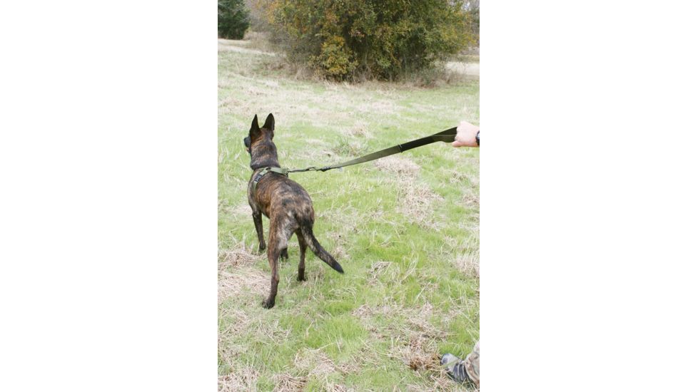 United States Tactical Two-Piece Leash, Quick-Release and HK Hook, Olive Drab, UST-K9L00103QH