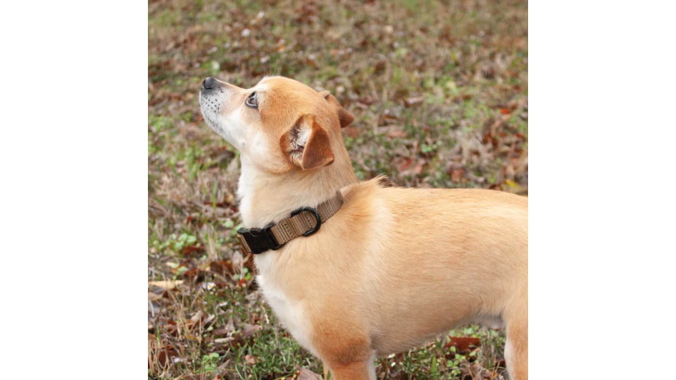 United States Tactical K9 Flashbang Collar, Coyote, UST-K9C00302