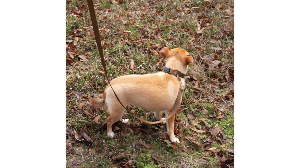 United States Tactical K9 Flashbang Leash, Coyote, UST-K9L00402