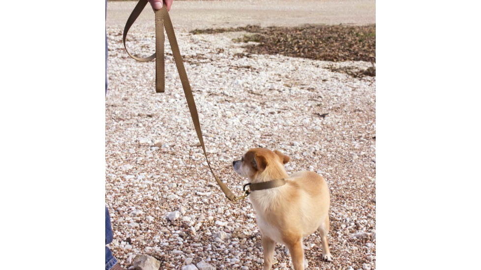 United States Tactical K9 Flashbang Leash, Coyote, UST-K9L00402