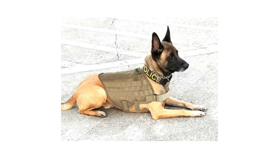United States Tactical Warrior Vest
