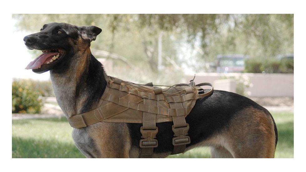 US Palm Cynology War Labs Hot Weather Half Vest, Large, Coyote CWLB4200