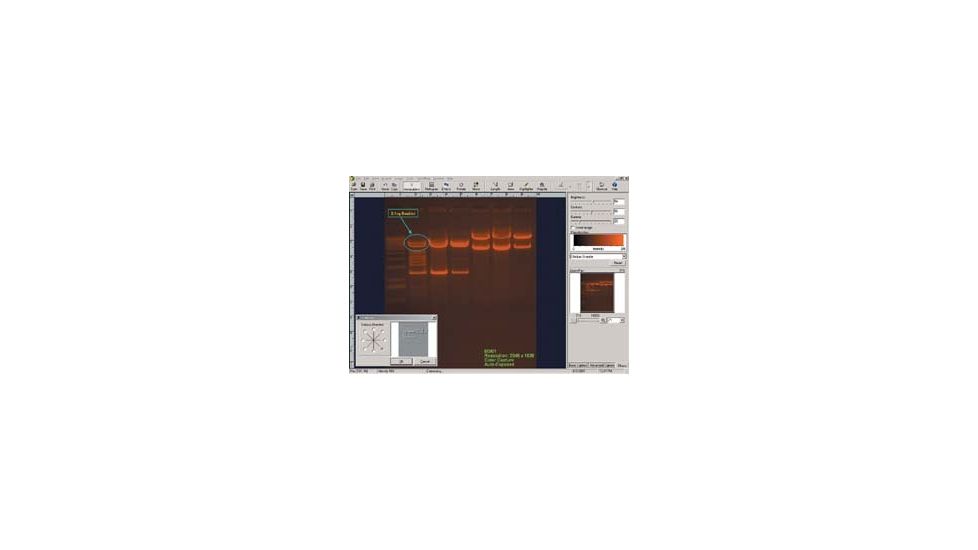 UVP Software DOC-IT 1D Analysis 97-0185-02