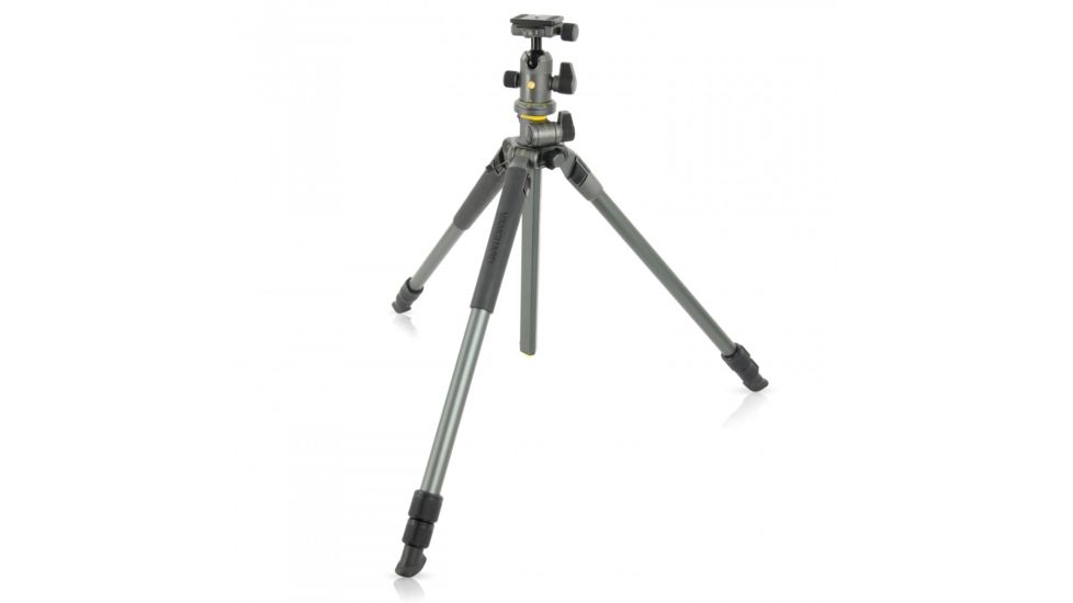 Vanguard Alta Pro 2+ 263AB 100 Aluminum Tripod with Ball Head and Multi-Angle Center Column, Gray, Alta Pro 2+ 263AB 100