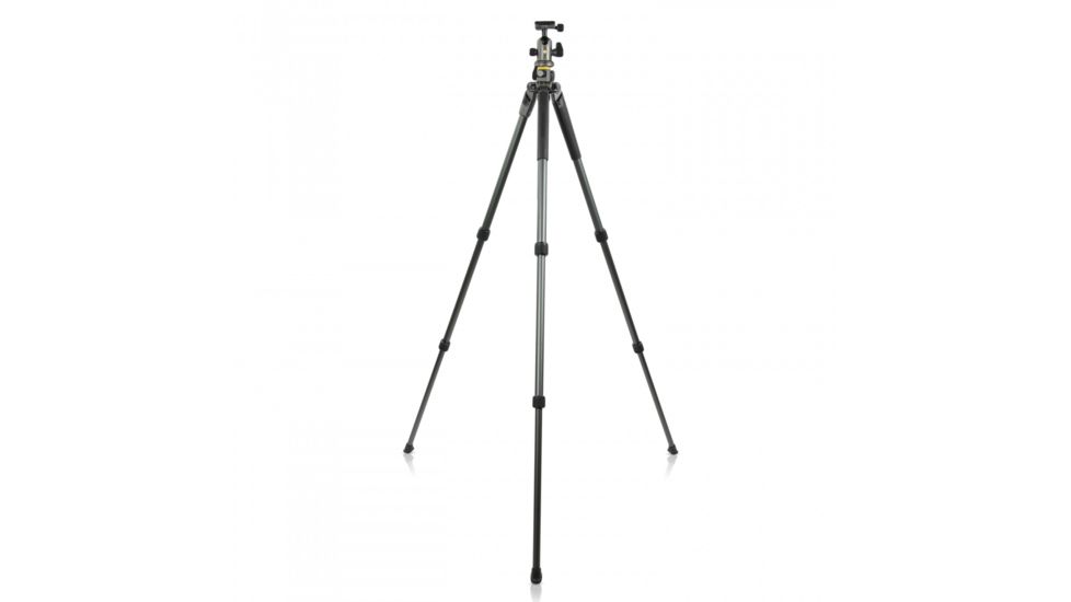 Vanguard Alta Pro 2+ 263AB 100 Aluminum Tripod with Ball Head and Multi-Angle Center Column, Gray, Alta Pro 2+ 263AB 100