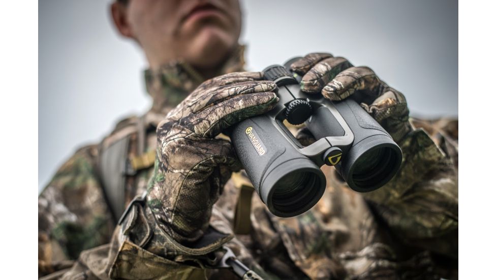 Vanguard Endeavor ED IV 10x42 mm Binocular, Black, Endeavor ED IV 1042