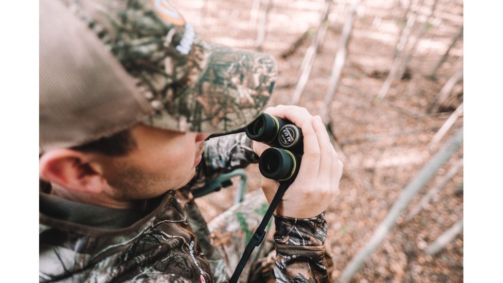 Vanguard Endeavor ED IV 10x42 mm Binocular, Black, Endeavor ED IV 1042