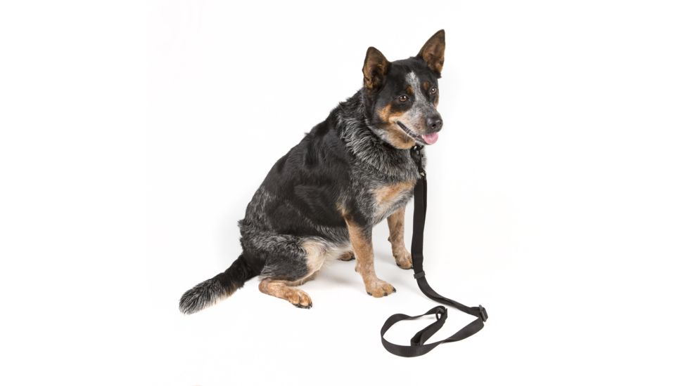 Viking Tactics VTAC Ranger Buddy Dog Leash/Collar Combo, Black, Large VTAC-RB-DLC-LG