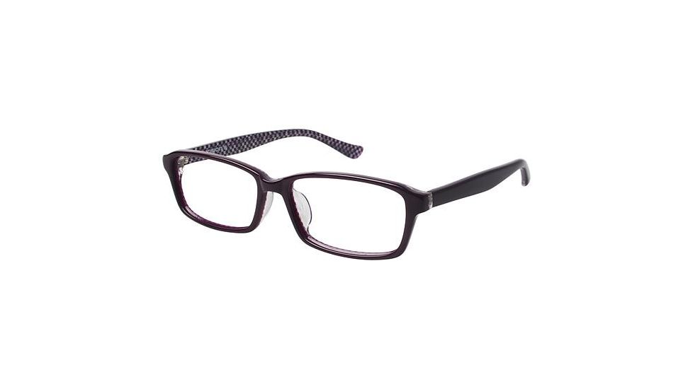 Visions 213A Eyeglass Frames - Frame Burgundy, Size 55/15mm VIVISION213A03