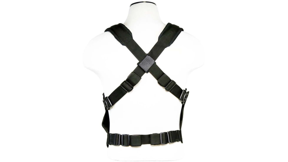 VISM AR &amp; Pistol Mags Chest Rig, Black, CVARPCR3031B