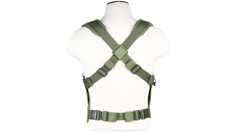 VISM AR &amp; Pistol Mags Chest Rig, Green, CVARPCR3031G