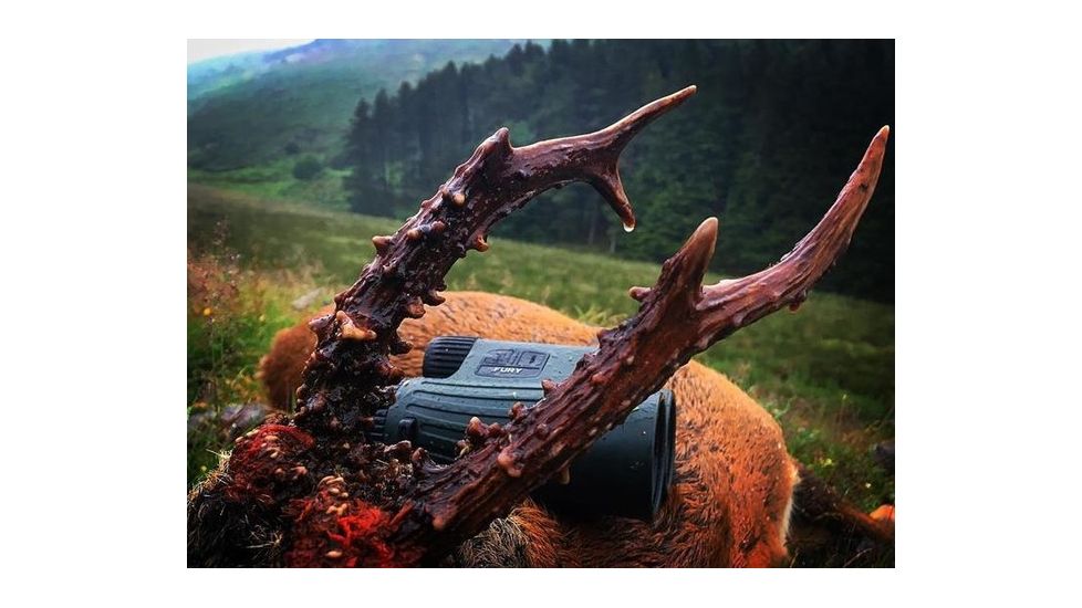 Vortex Fury 10x42 Roof Prism Binocular, LRF, LRF300