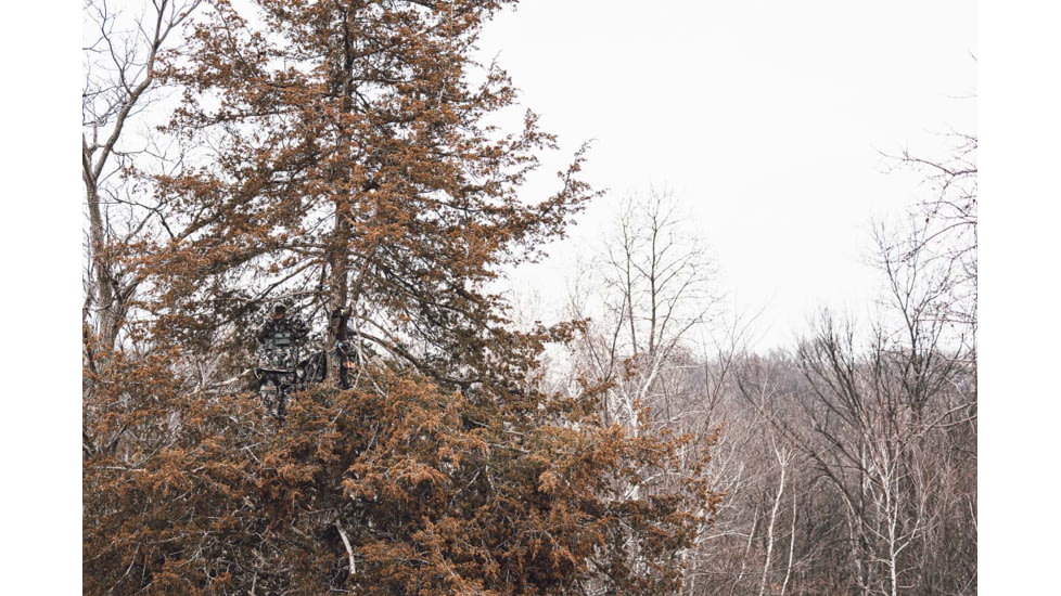 Vortex Razor UHD 10x32mm Binocular, Green, 9.37x8.25x4.75, RZB-1032