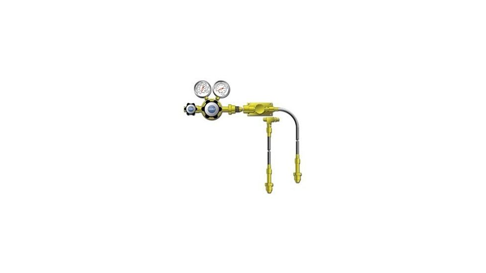 VWR Cylinder Manifolds for High-Purity Noncorrosive and Corrosive Gases 4702638 Brass Protocol Stations For One Cylinder