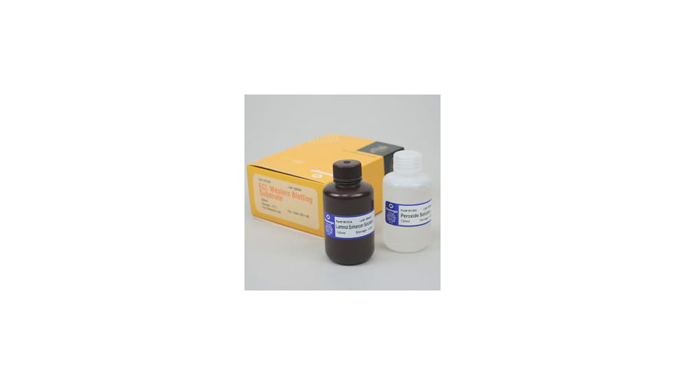 VWR Ecl Western Blotting 500ml W1015, Unit EA
