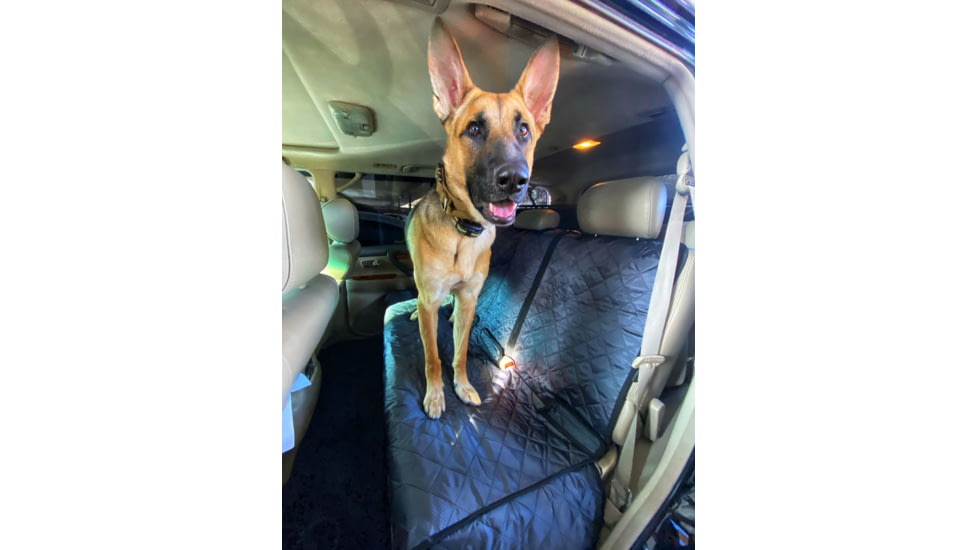 Wagan Road Ready Seat Protector, Black, Small, IN6602