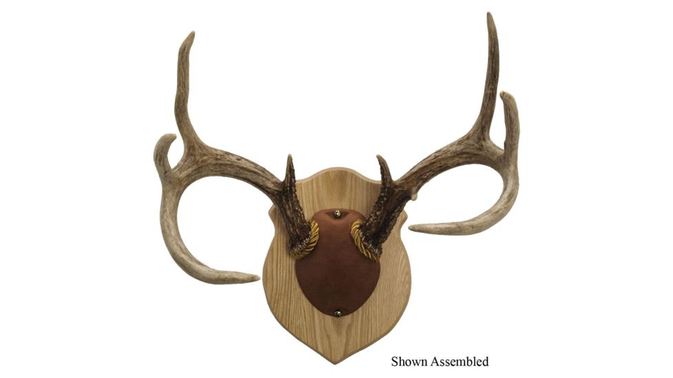 Walnut Hollow Antler Mounting, Kit Solid Oak 38324