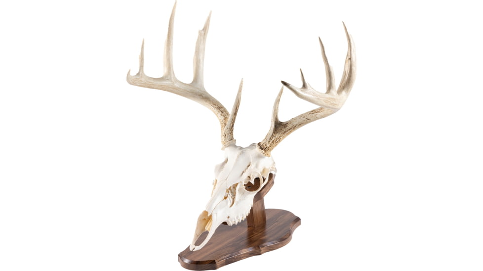 Walnut Hollow Euro Mount Kit 1302348