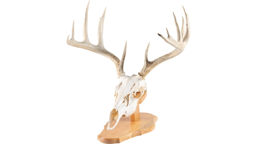 Walnut Hollow Euro Mount Kit 1302350