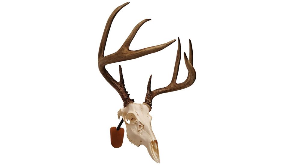Walnut Hollow Euro Skull Mount Kit, Brown, 41852
