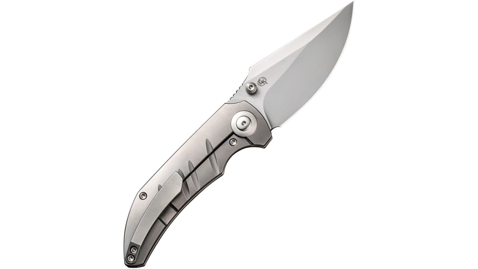 We Knife Co Ltd Riff-Raff BB Folding Knife, 4.13in Closed, 3.13in Bead Blast CPM-20CV Stainless Steel Blade, Bead Blast Titanium Handle, Nylon Case, WE22020B-4