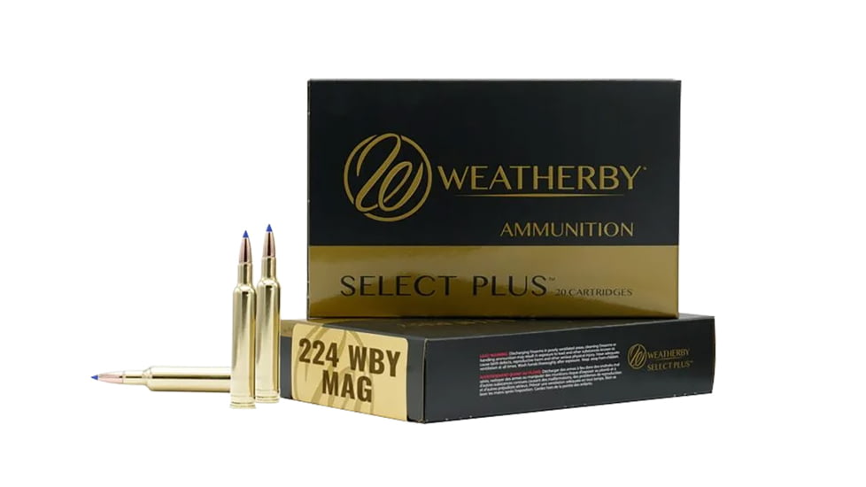 Weatherby 224Wthby Mag 80.5gr 20 Per Box/10 Case, R224805FBT