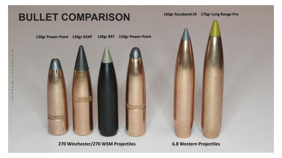 Ammunition Size Comparison