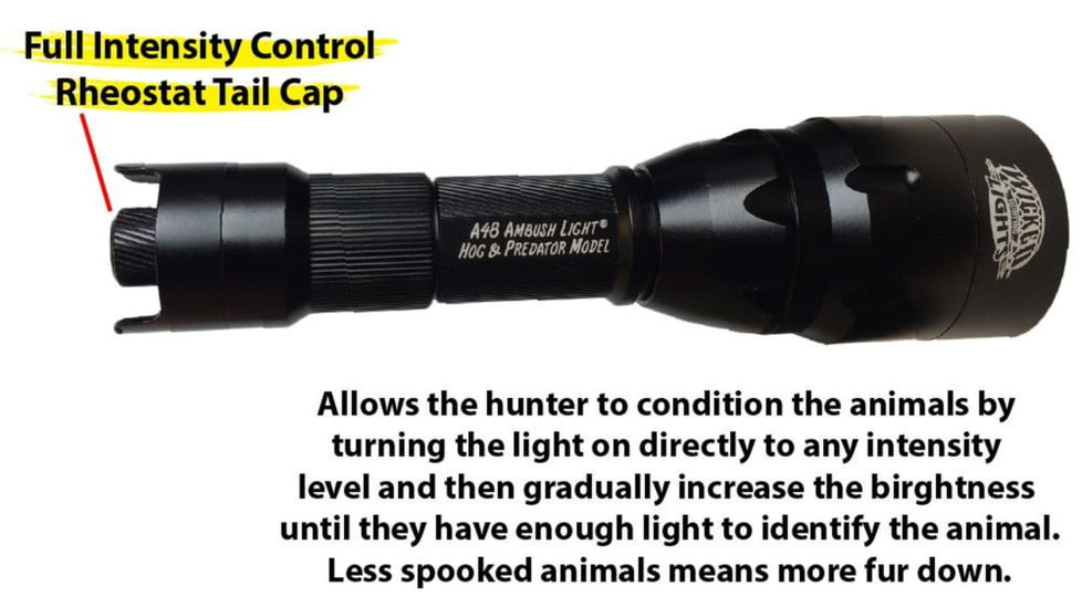 Wicked Hunting Lights A48iC Bow Hunting Light Kit, Green, W2048