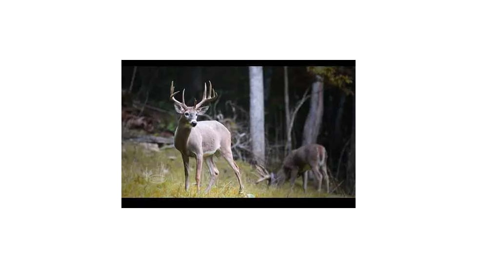 Wildgame Innovations ZeroTrace PureION Field Generator, Camo, WGI-WGIPG0001