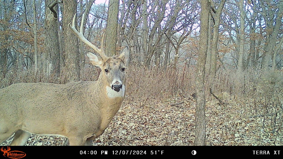Wildgame Terra XT 2.0 Cellular Camera 24MP, 1410205