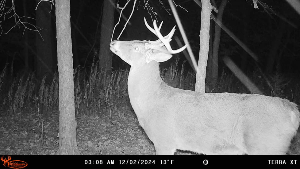 Wildgame Terra XT 2.0 Cellular Camera 24MP, 1410205