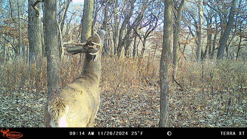 Wildgame Terra XT 2.0 Cellular Camera 24MP, 1410205