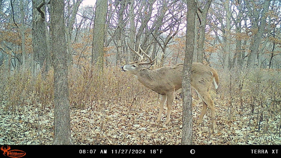 Wildgame Terra XT 2.0 Cellular Camera 24MP, 1410205