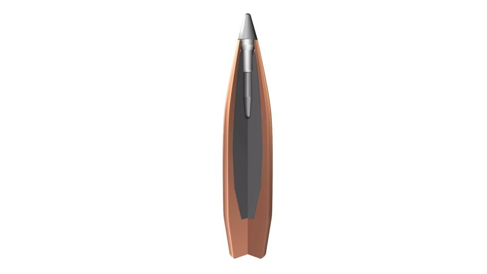 Winchester Ammo S300LR Expedition Big Game Long Range 300 Win Mag 190Gr AccuBon, S300LR