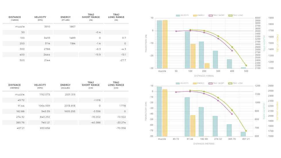 Winchester Ballistic Silvertip .243 Winchester 55 grain Fragmenting Polymer Tip Centerfire Rifle Ammo, 20 Rounds, SBST243