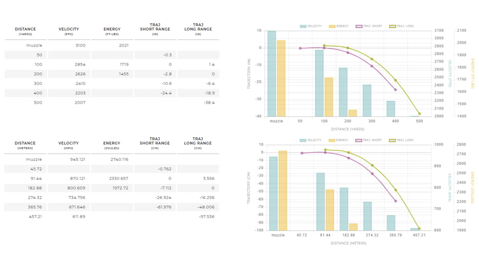 Winchester Ballistic Silvertip .243 Winchester 95 grain Rapid Expansion Polymer Tip Brass Cased Centerfire Rifle Ammo, 20 Rounds, SBST243A