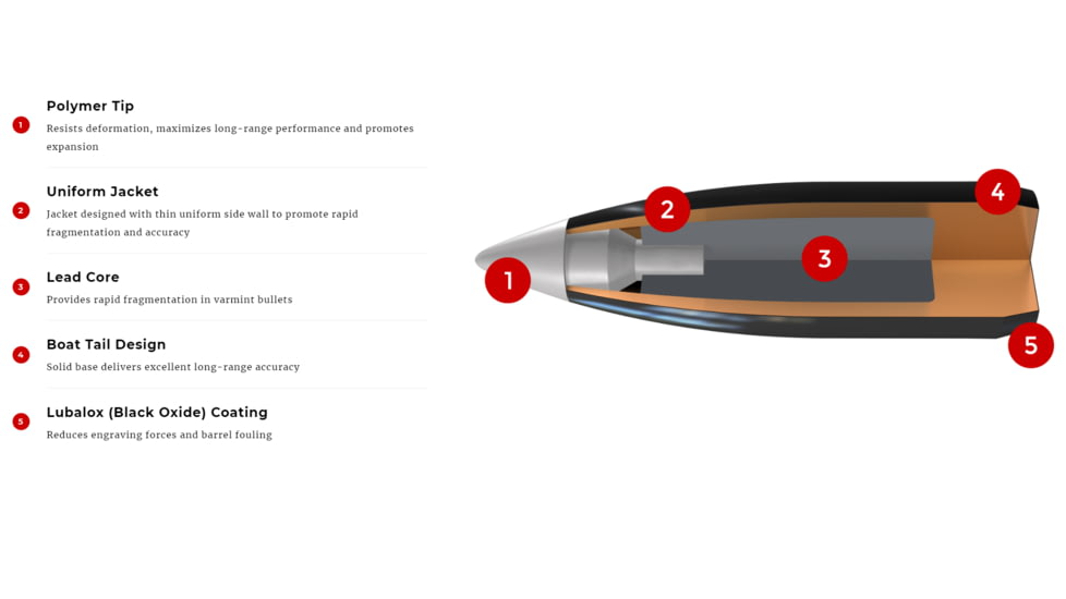 Winchester Ballistic Silvertip Rifle Ammo, .243 Winchester, Fragmenting Polymer Tip, 55 grain, 20 Rounds, SBST243