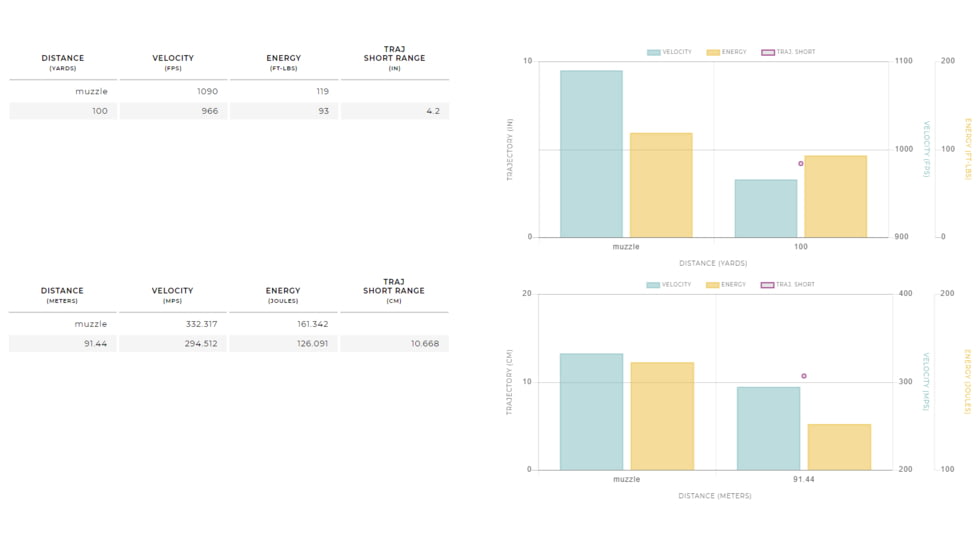Winchester Super Suppressed .22 Long Rifle 45 grain Lead Round Nose Suppressed Rimfire Ammo, 100 Rounds, SUP22LR